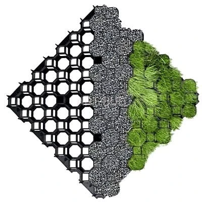 Kratki trawnikowe ScPl