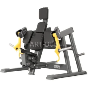 Maszyna do ćwiczeń mięśni dwugłowy ramion NS 04 siłownia wewnętrzna
