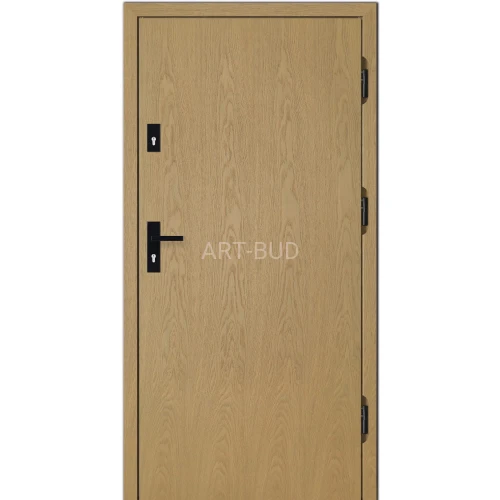 Drzwi zewnętrzne drewniane Z1 płycinowe Dallas