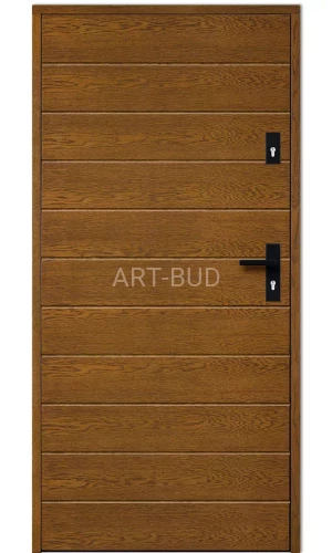 Drzwi zewnętrzne drewniane Z137 płycinowe Dallas