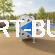 Bryła wspinaczkowa dla dzieci ROXX 3501
