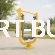 Orbitrek biegacz do siłowni zewnętrznej Classic