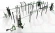 Zestaw Street Workout Combo 3 Z-CO3
