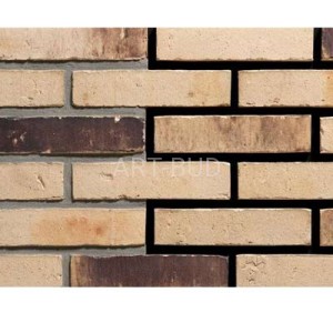 Cegła klinkierowa ręcznie formowana TB 210/65/100 THAR WAALFORMAAT ENGELS (szt.)