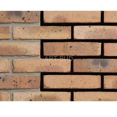 Cegła klinkierowa ręcznie formowana TB 210/65/100 GOBI WAALFORMAAT ENGELS (szt.)