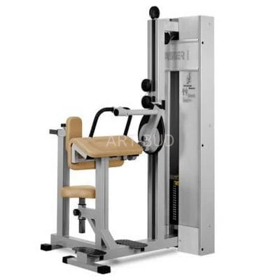 Maszyna siłowa do mięśni trójgłowych ramion JP 19  siłownia wewnętrzna