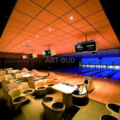 Płyta sufitowa ROCKFON Sonar dB44  600x600x50mm krawędź A24 opak. 2.88 m2