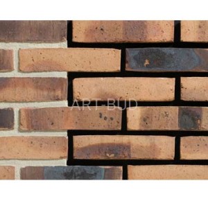 Cegła klinkierowa ręcznie formowana TB 210/65/100 NEGEV WAALFORMAAT ENGELS (szt.)