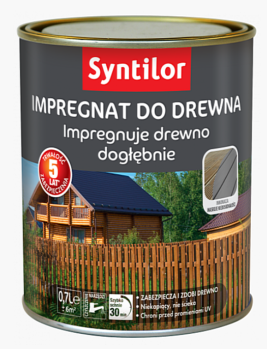 Impregnat do Drewna 5l Syntilor