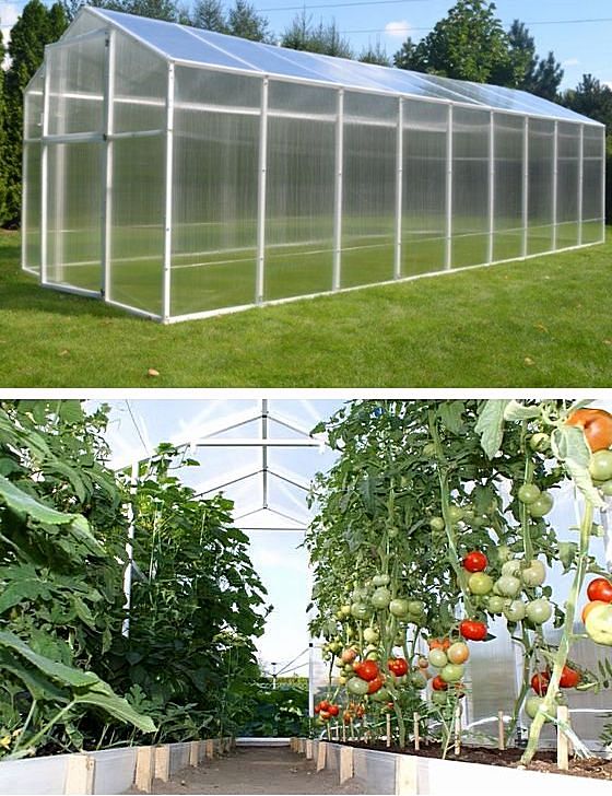 Szklarnia ogrodowa z poliwęglanu model Pomidor Premium 12,73m2 210x606cm