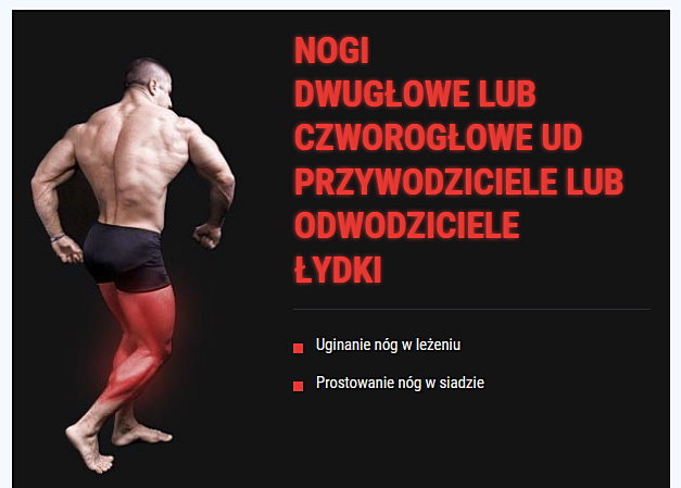 Gabaryty 	60 cm x 50 cm x 55 cm (długość x wysokość x szerokość) Waga 10 kg Testowana wytrzymałość 180 kg Profil konstrukcyjny 50x50x2 mm i 40x40x2 mm Szerokość stacji 50 cm Długość pręta na obciążenie 30 cm Średnica pręta na obciążenie 25 mm Minimalna średnica pasującego ciężaru 26 mm Regulacja wysokości 6 stopni Średnica wałka tapicerki 10 cm Grubość wałka tapicerki 3 cm Zakres ruchu 145 stopni Można zamontować do: - ławek z linii Kelton HOME i HEAVY (seria Tryton, Spartan, Hunter i Hyperion) - atlasów z linii Kelton HOME i HEAVY (seria Python, Gladius) * do montażu dodatkowych akcesoriów niezbędny jest zestaw w skład, którego wchodzi: pokrętło, przelotka, bolec.