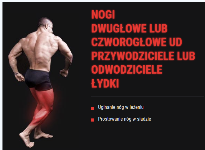 Stacja na nogi HZ3 Kelton HOME siłownie wewnętrzne